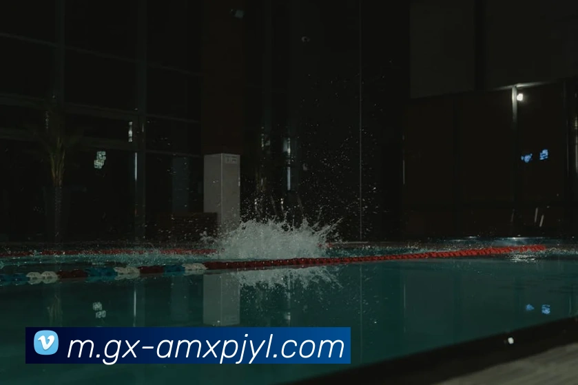 新葡京娱乐平台生态图