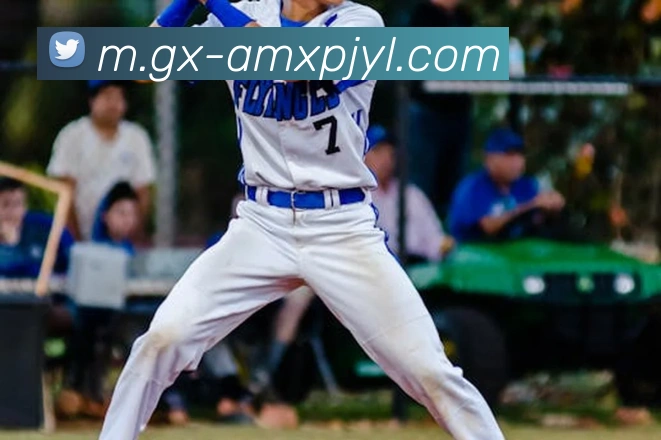 新葡京娱乐APP 封面图